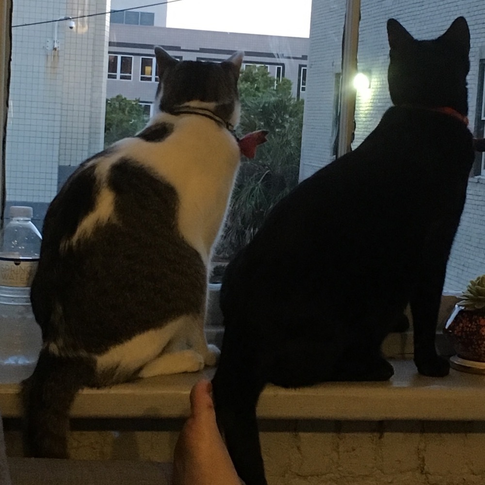 Meet your Posher, Aimee